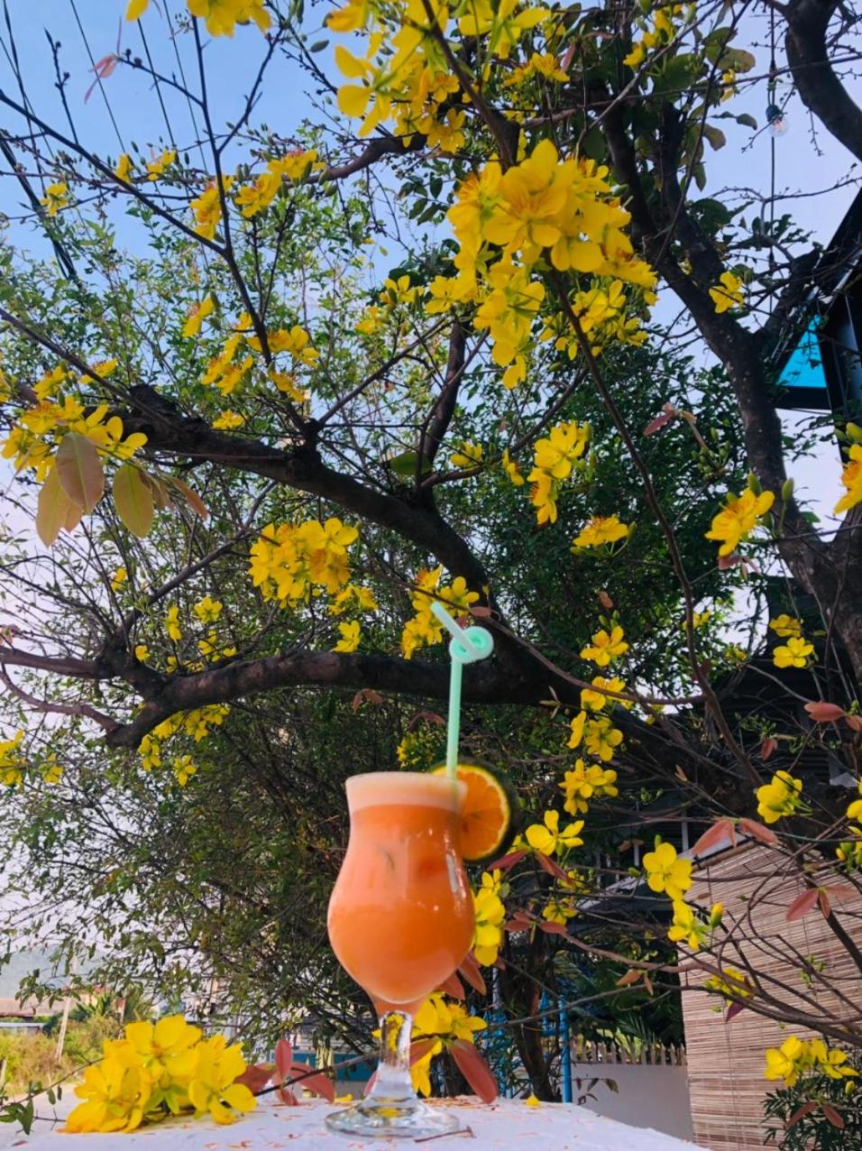 Hostal Sunrise Doc Let Ninh Hai District Exterior foto